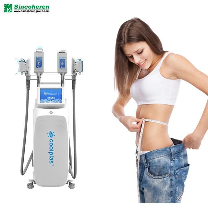 360 Cryolipolysis Fat Freezing Reduction Non Surgical Coolsculpting