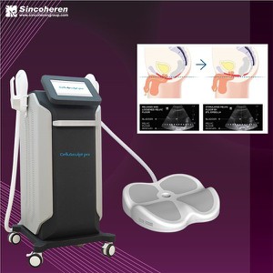 Fat Burning Emslim HIEMT 4 Handles