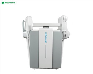 Electromagnetic Wave Cellusculpt Fat Loss Machine