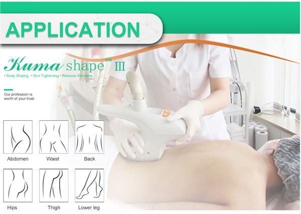 Kuma Shaping Machine