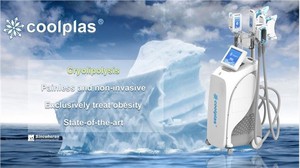 Loss weight Fat Freeze