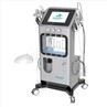 /uploads/202234052/small/rf-multifunction-spa-water-oxigen-facial35340127694.png